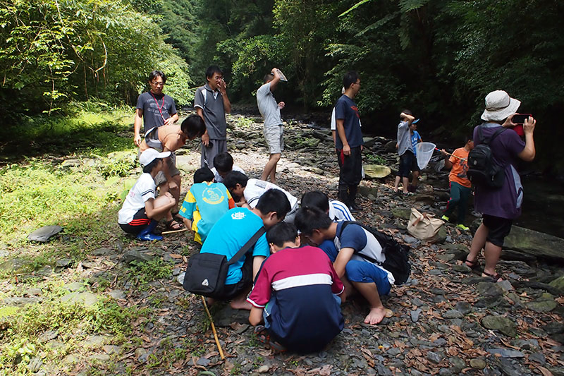 水生生物觀察(慧燈中學提供)