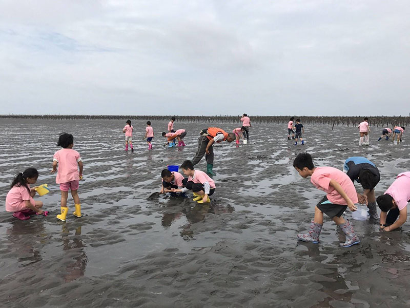 王功漁港體驗沿岸生態並關注環境變遷將帶來的影響