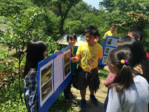 米倉國小學生解說生態池的營造方式(新北市教育局拍攝)